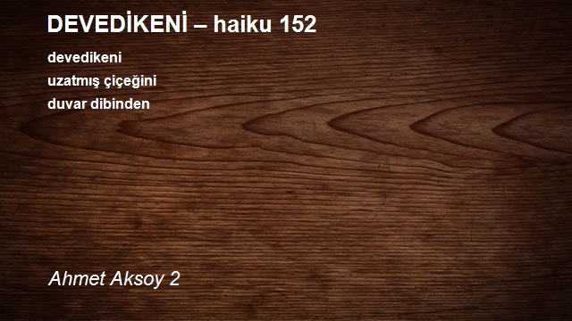Ahmet Aksoy 2