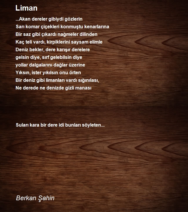 Berkan Şahin