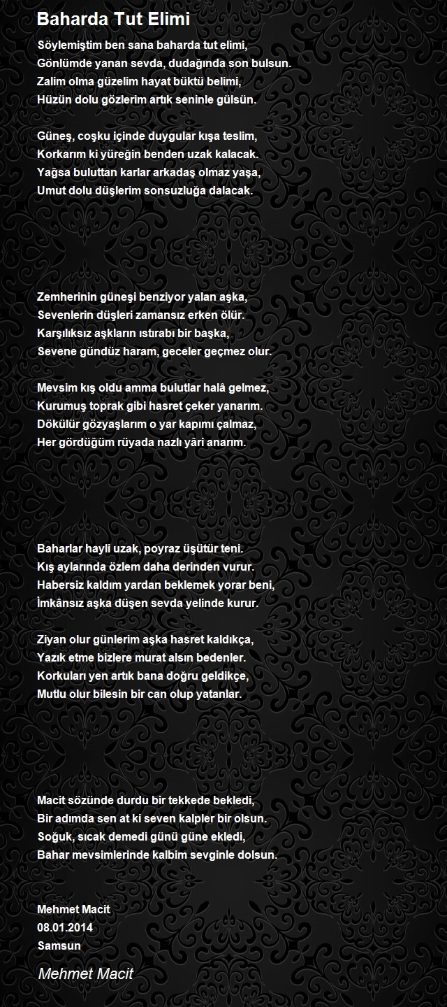 Mehmet Macit