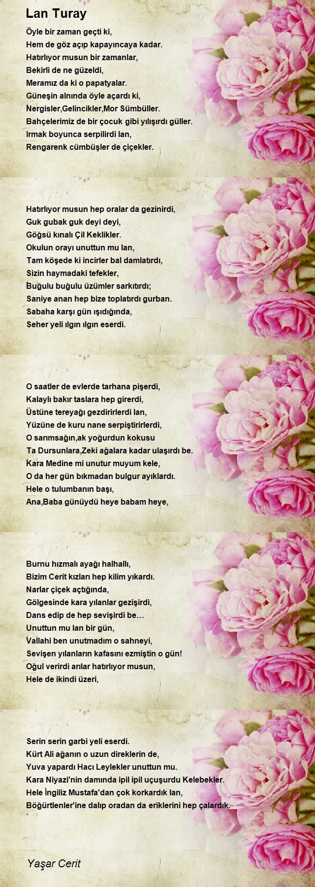 Yaşar Cerit