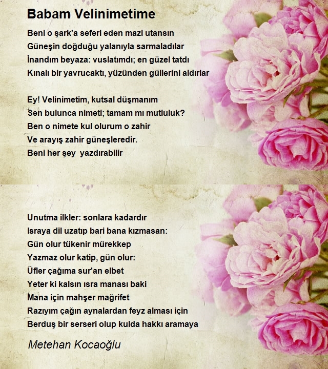 Metehan Kocaoğlu