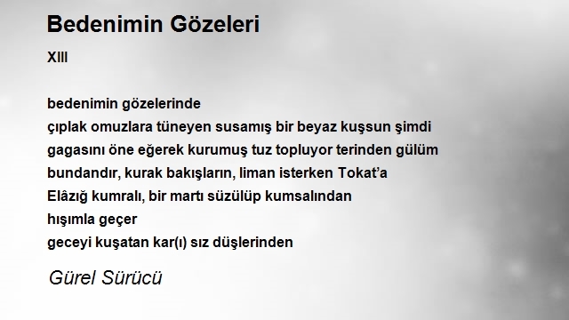 Gürel Sürücü