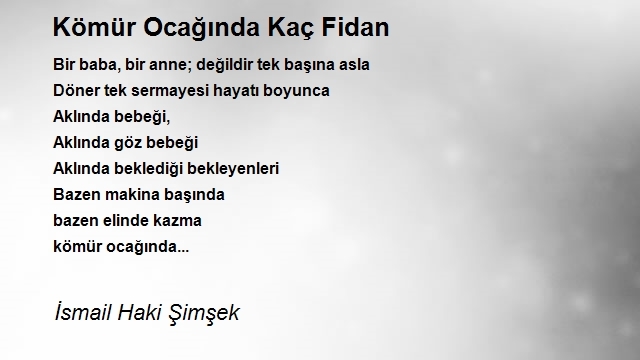 İsmail Haki Şimşek