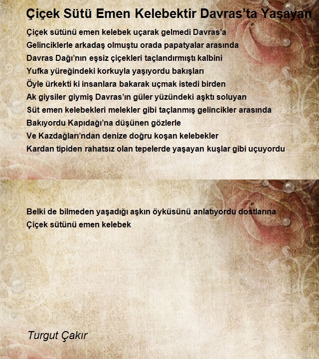 Turgut Çakır