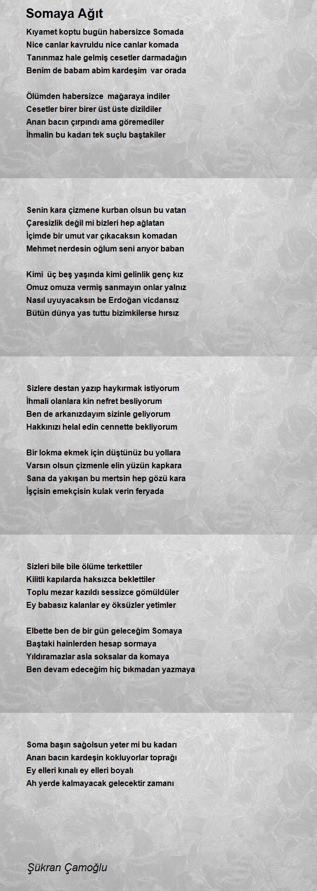 Şükran Çamoğlu