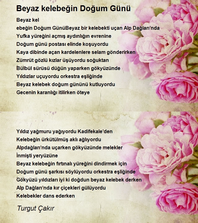 Turgut Çakır