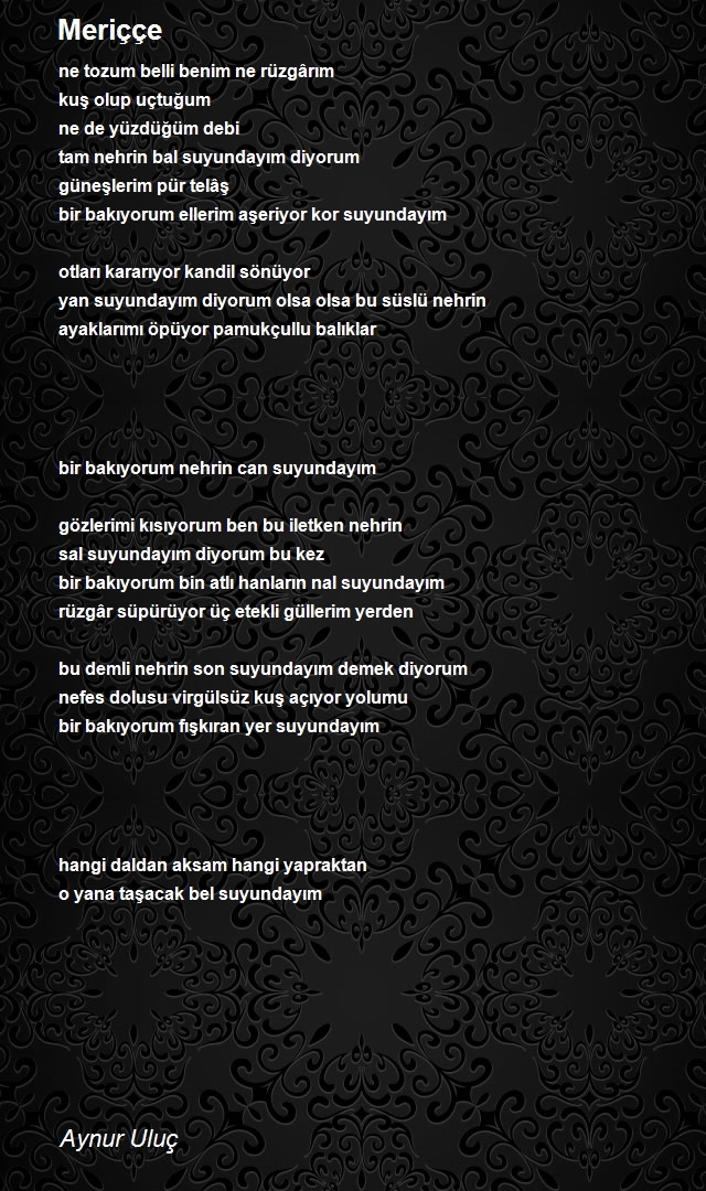 Aynur Uluç
