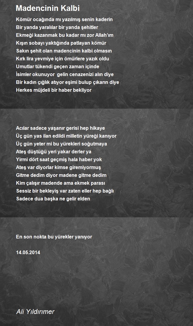 Ali Yıldırımer