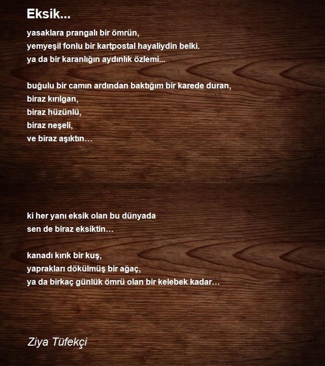 Ziya Tüfekçi