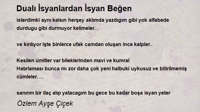 Özlem Ayşe Çiçek