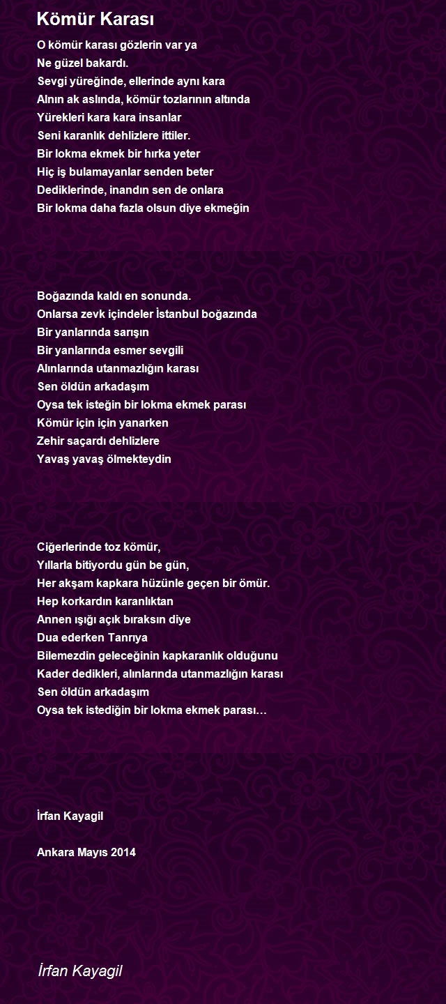 İrfan Kayagil