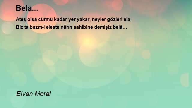 Elvan Meral