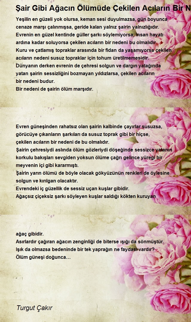 Turgut Çakır