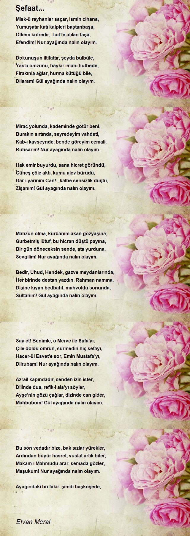 Elvan Meral