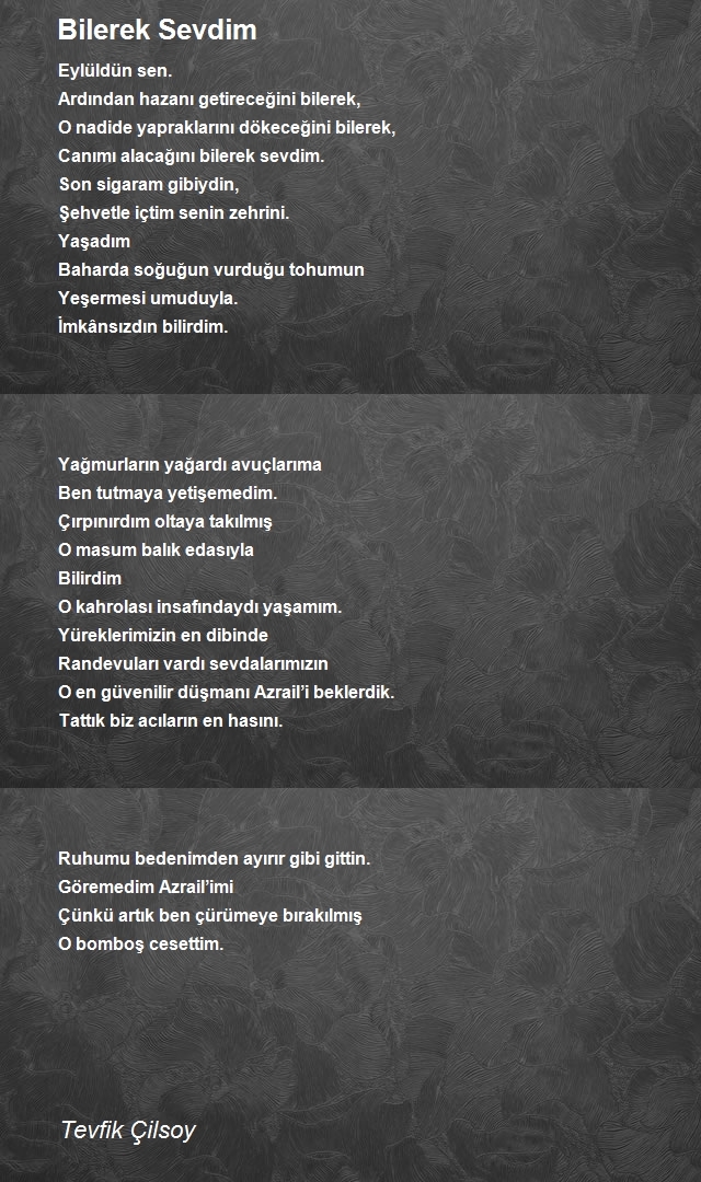Tevfik Çilsoy