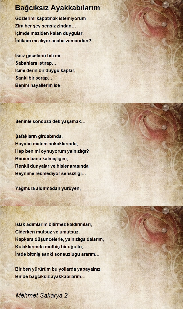 Mehmet Sakarya 2