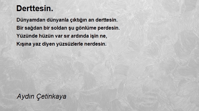 Aydın Çetinkaya