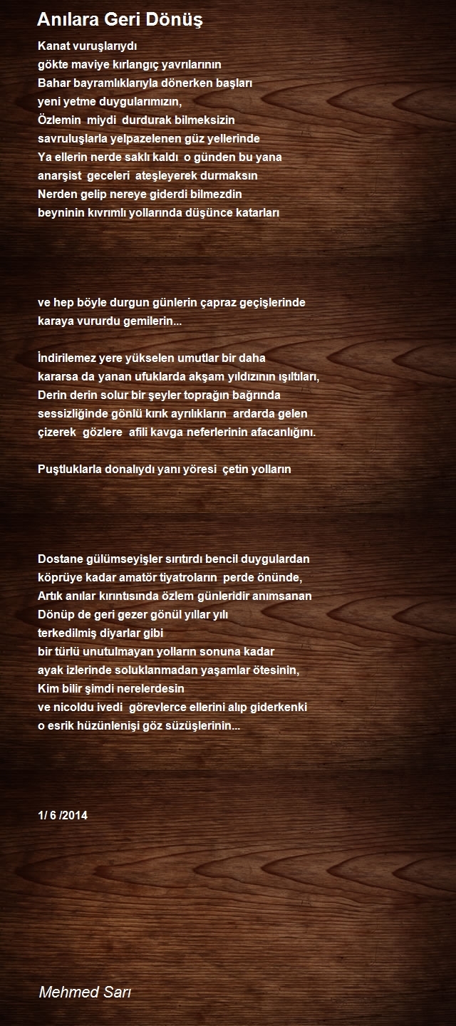 Mehmed Sarı