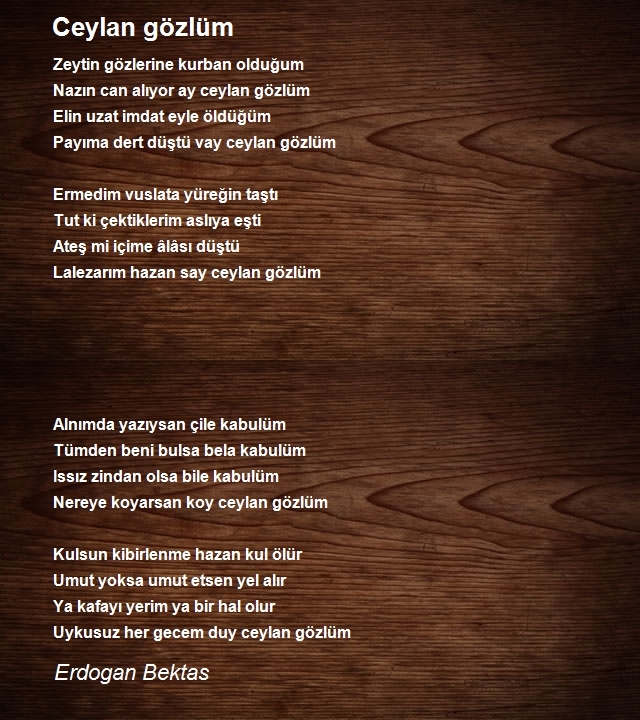 Erdogan Bektas