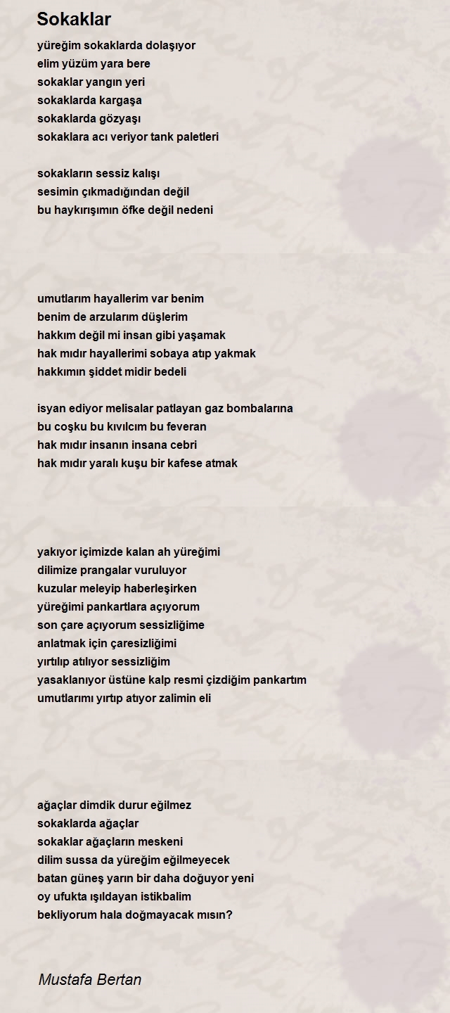Mustafa Bertan
