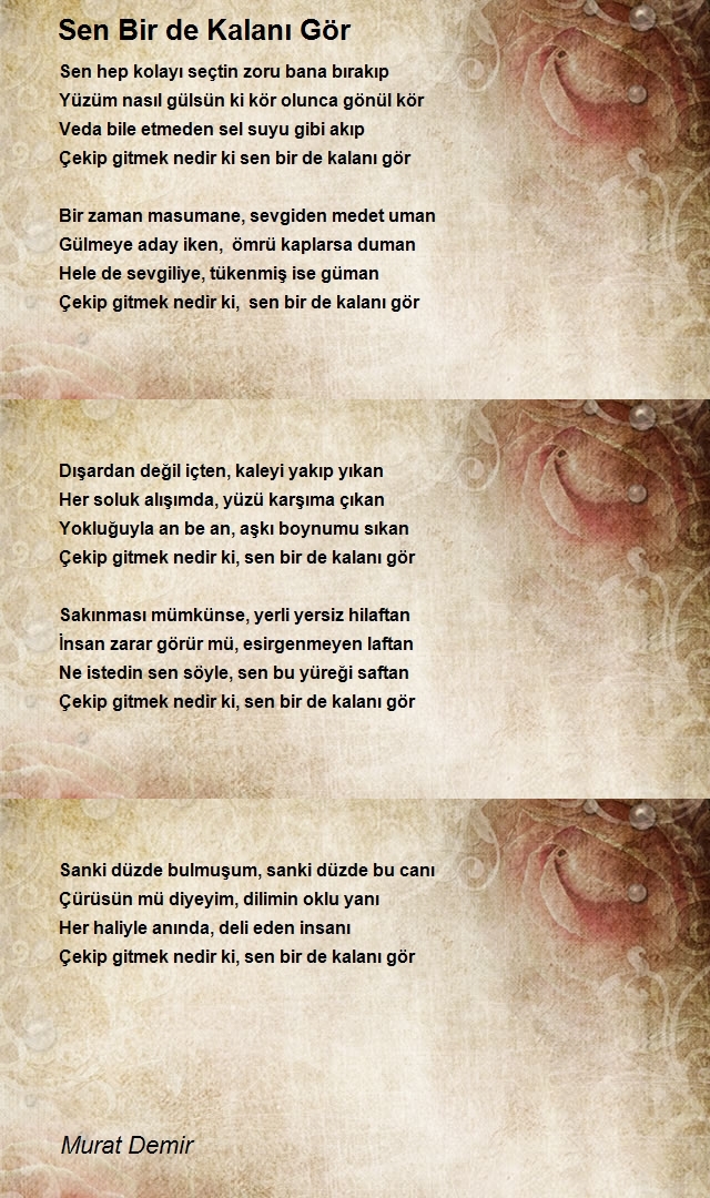 Murat Demir