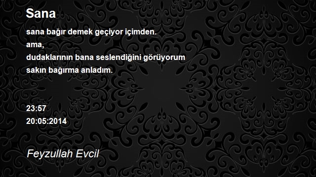 Feyzullah Evcil