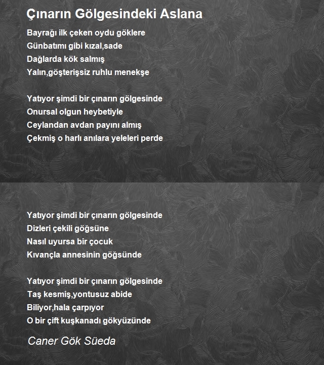 Caner Gök Süeda
