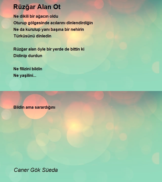 Caner Gök Süeda