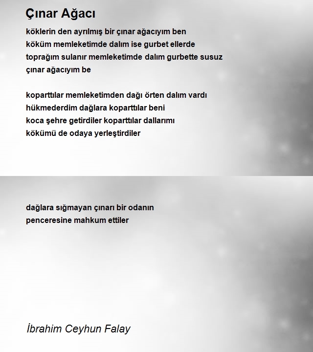 İbrahim Ceyhun Falay