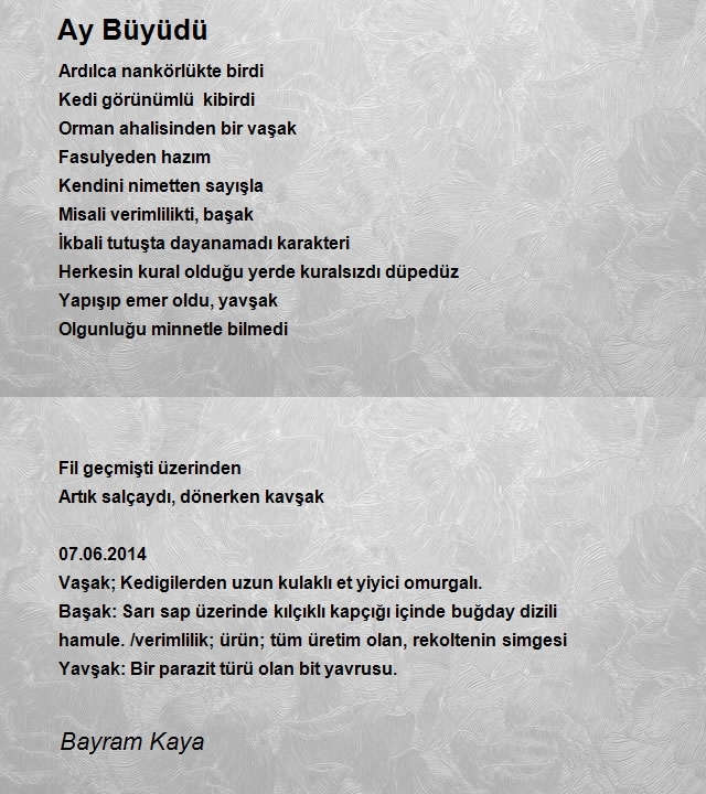 Bayram Kaya