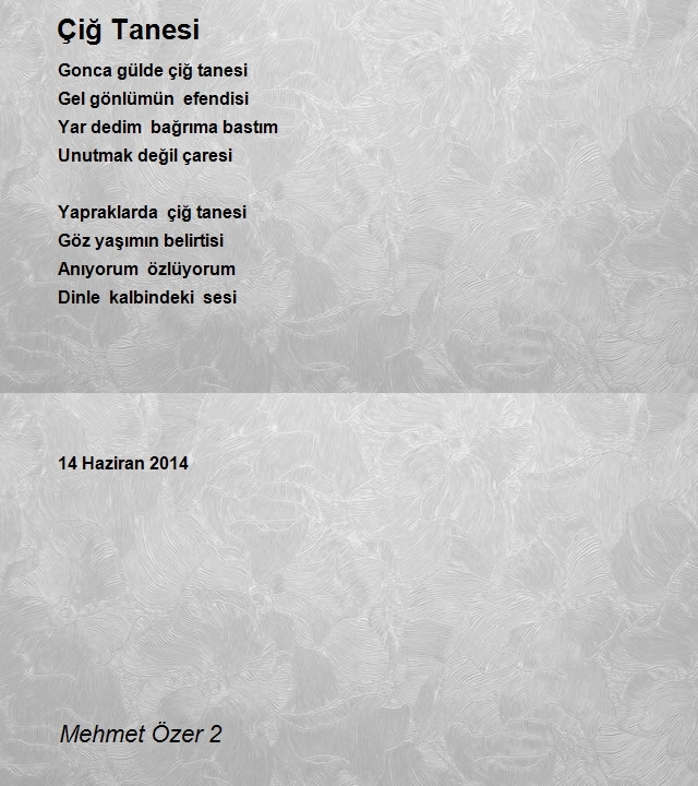 Mehmet Özer 2