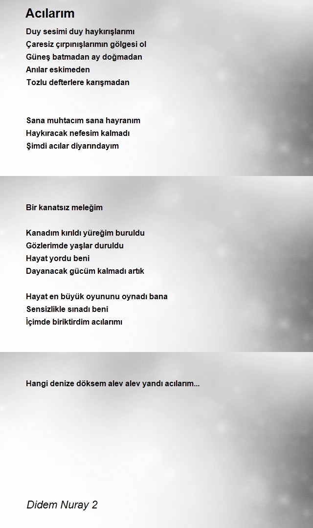 Didem Nuray 2