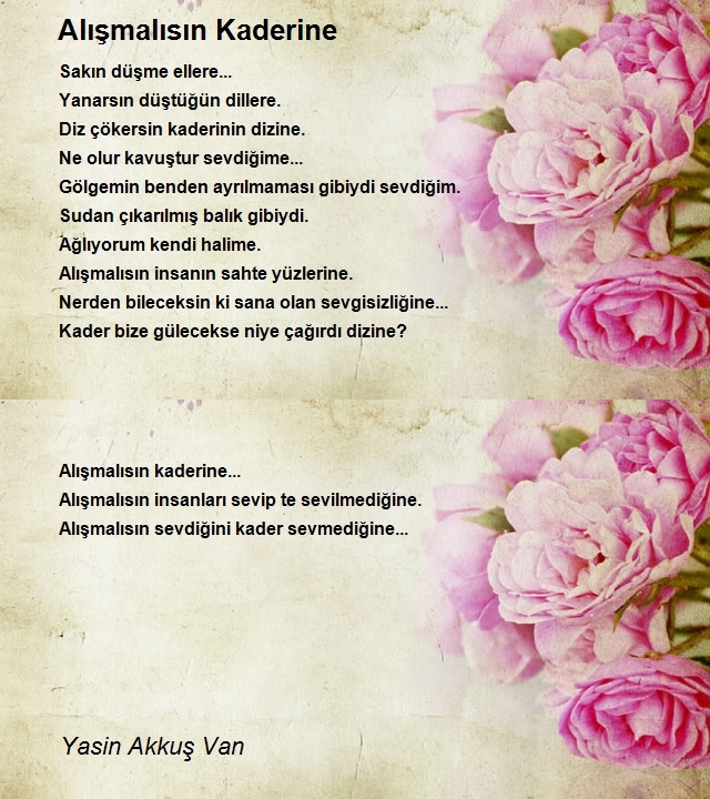 Yasin Akkuş Van