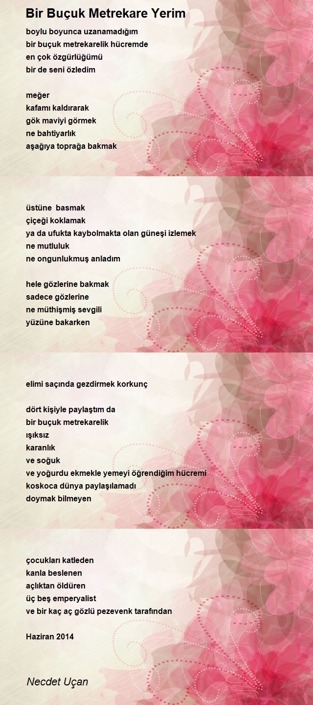 Necdet Uçan