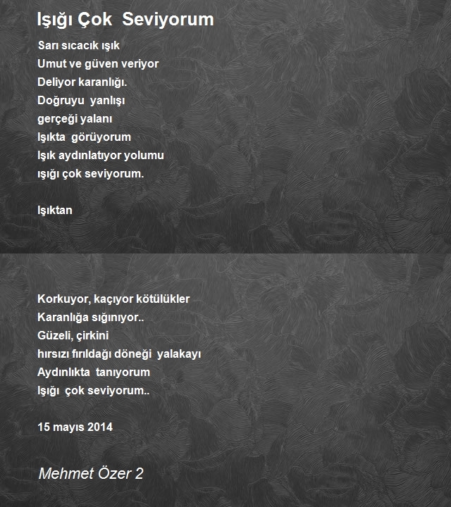 Mehmet Özer 2