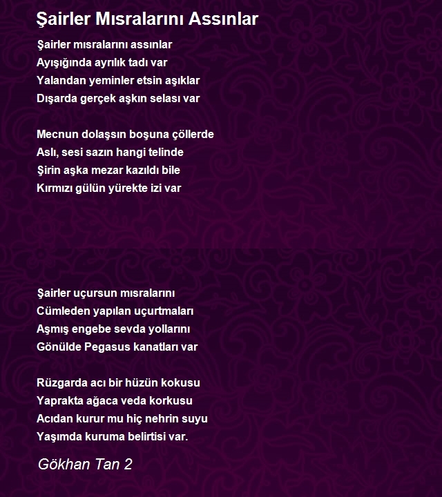 Gökhan Tan 2