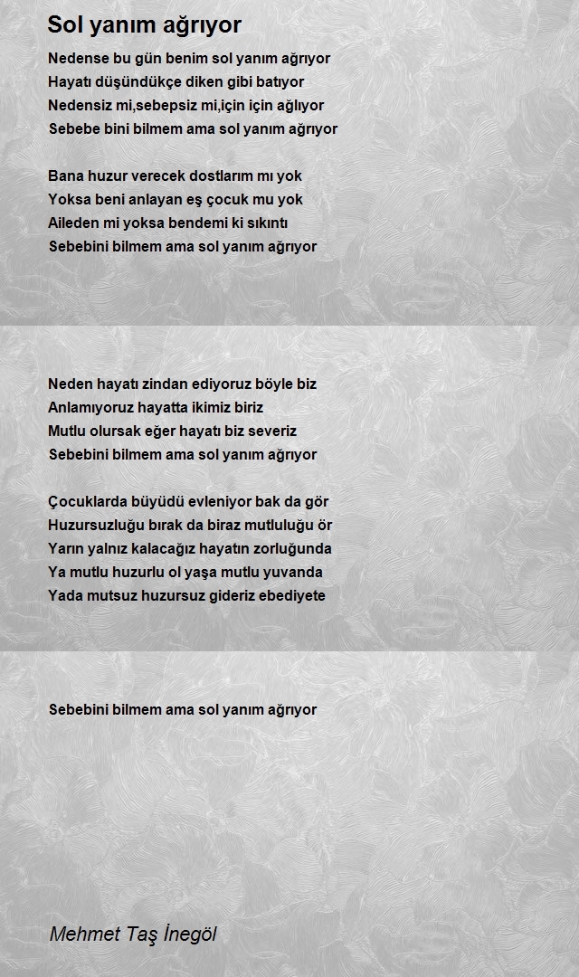 Mehmet Taş İnegöl