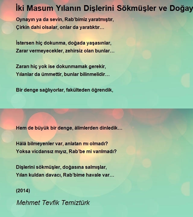 Mehmet Tevfik Temiztürk