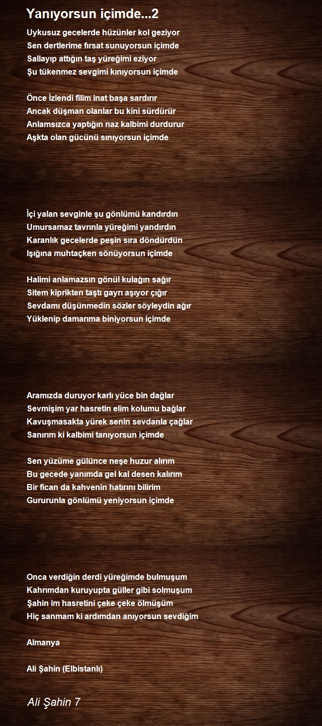 Ali Şahin 7