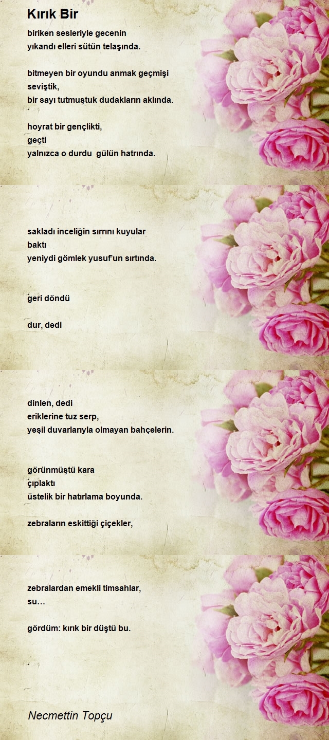 Necmettin Topçu