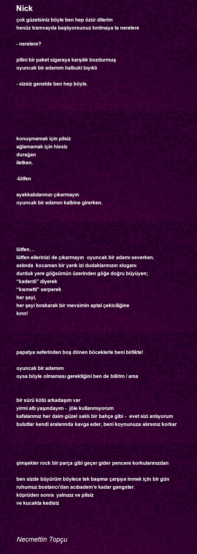 Necmettin Topçu