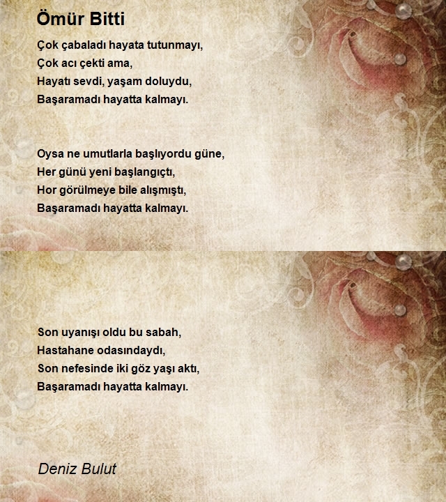Deniz Bulut
