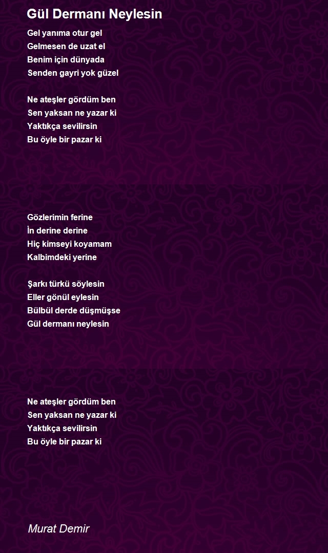Murat Demir