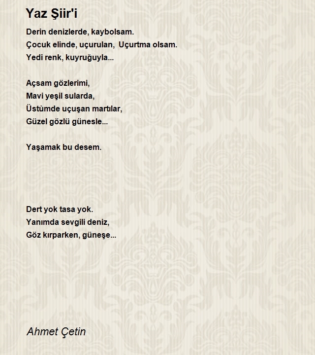 Ahmet Çetin