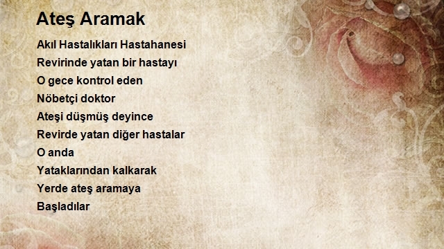 Işık German Ersoy