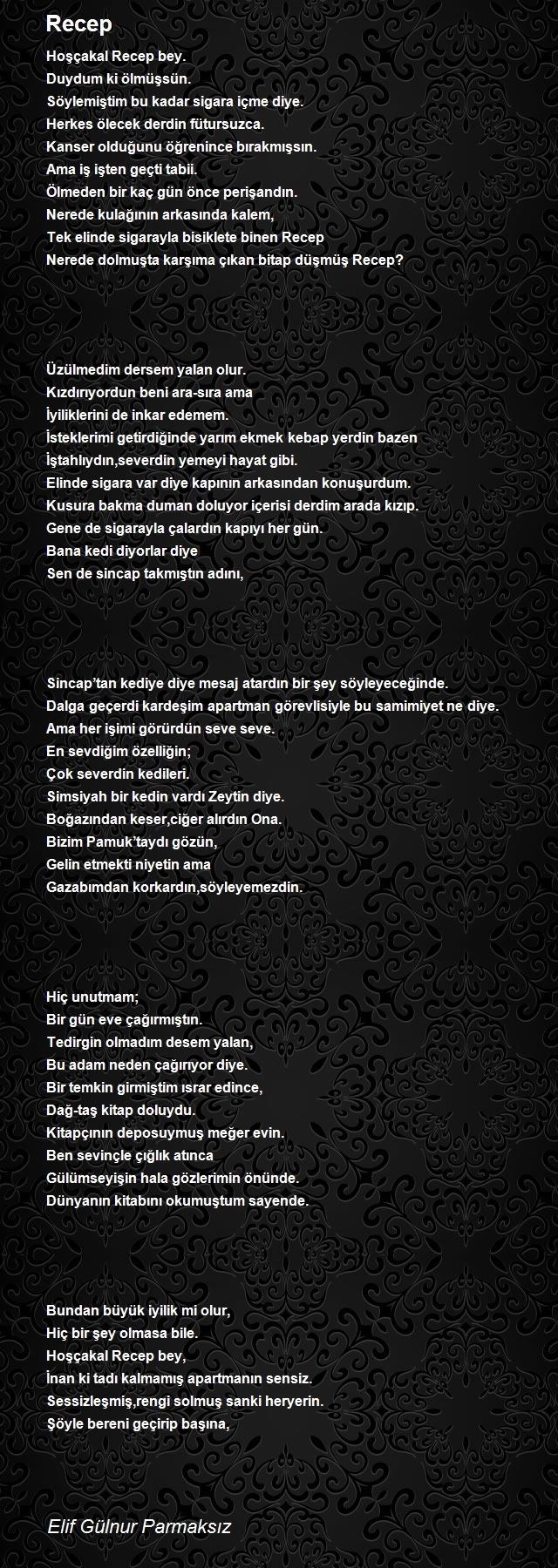 Elif Gülnur Parmaksız