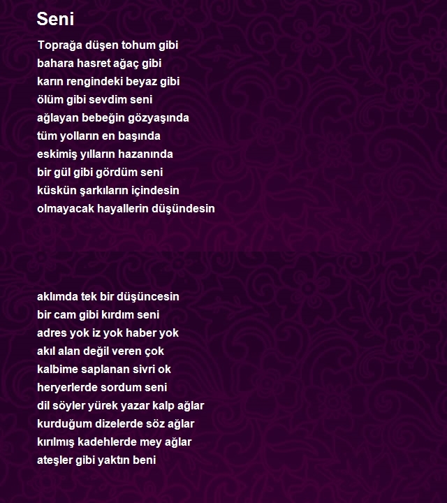 Şahin Alıcı