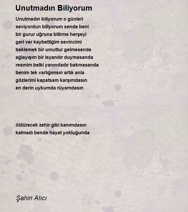 Şahin Alıcı
