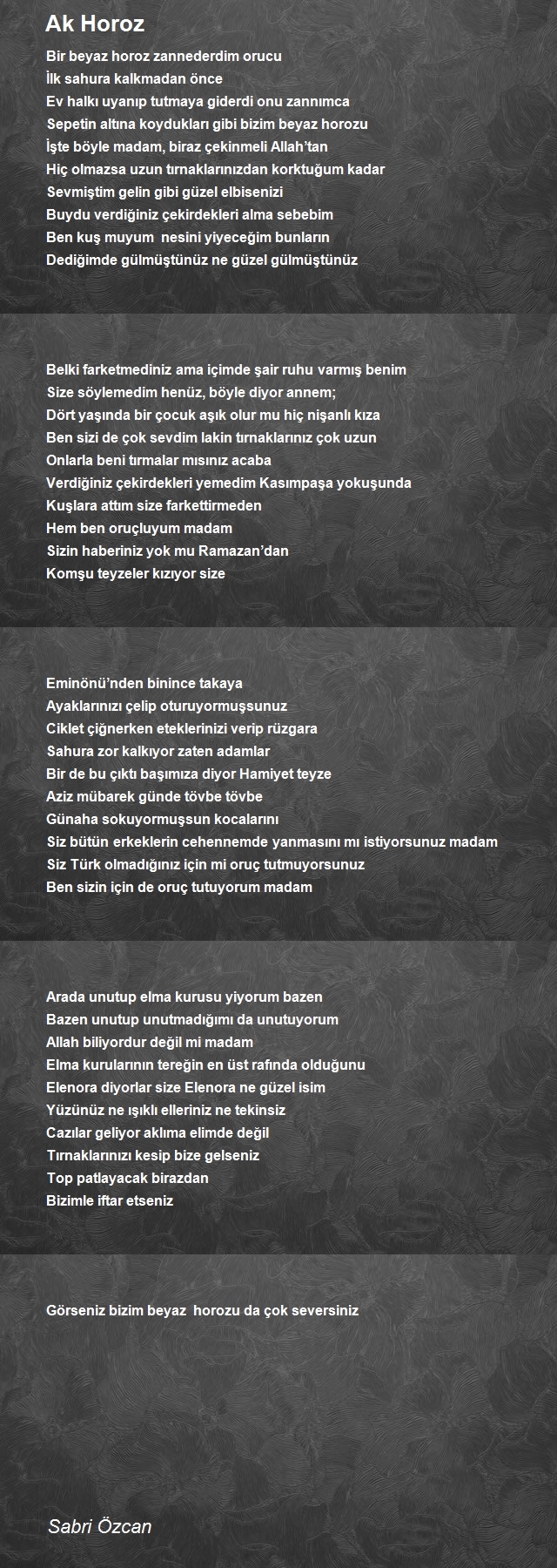 Sabri Özcan