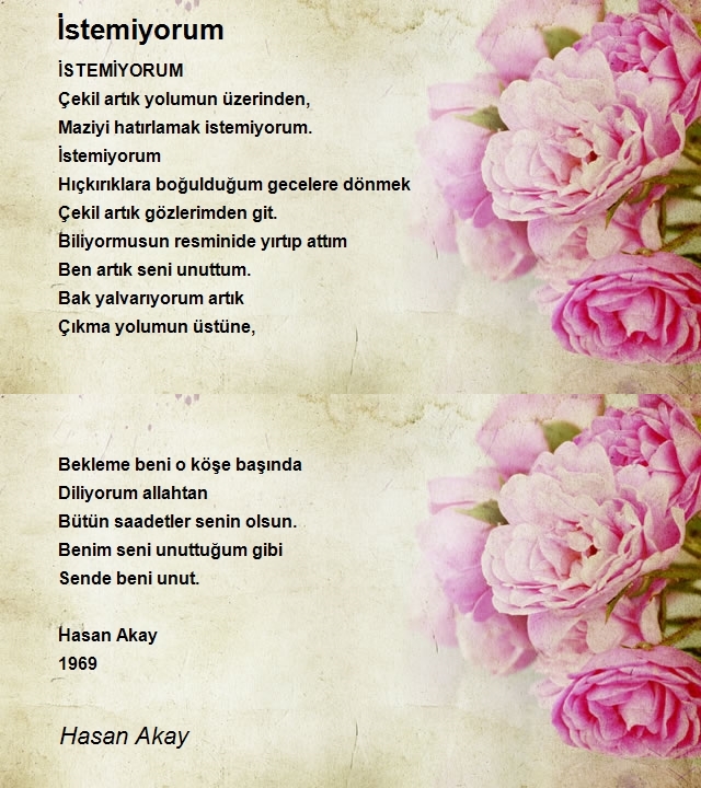 Hasan Akay